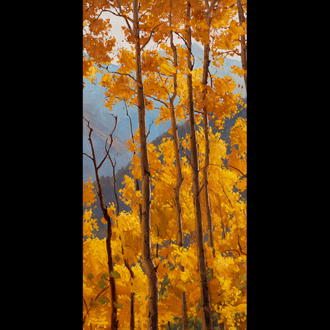 Fall's Foliage